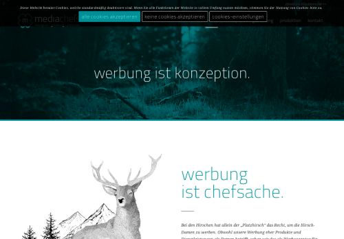 Screenshot: Flyergroup.de - Ihr Onlinedruckportal mit Service