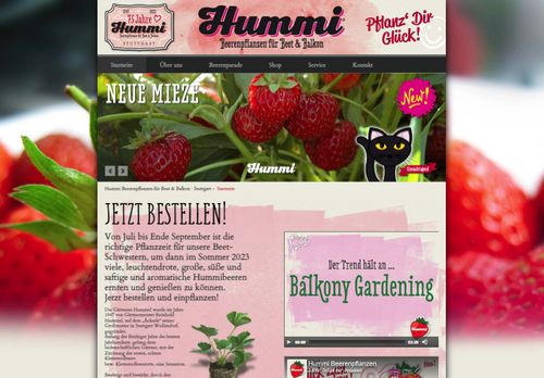 Screenshot: Hummi Erdbeerpflanzen und Himbeerpflanzen